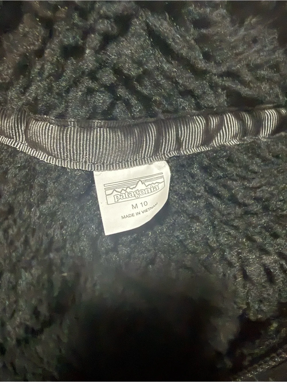 Patagonia Kids Black Hooded Puffer Jacket
